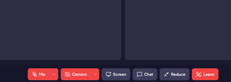 Call controls